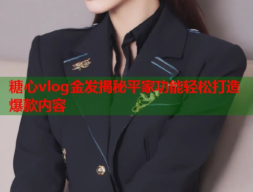 糖心vlog金发揭秘平家功能轻松打造爆款内容  第2张